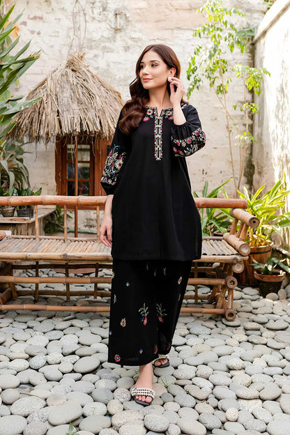 Black Beauty - 2Pc Embroidered Dress