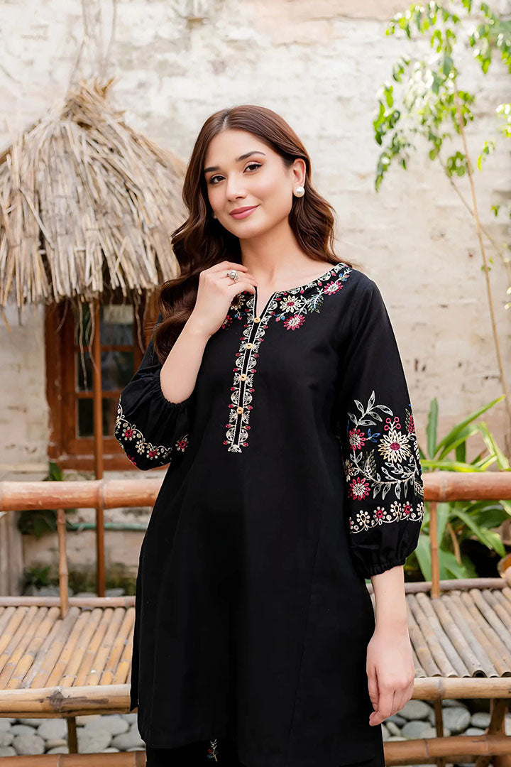 Black Beauty - 2Pc Embroidered Dress