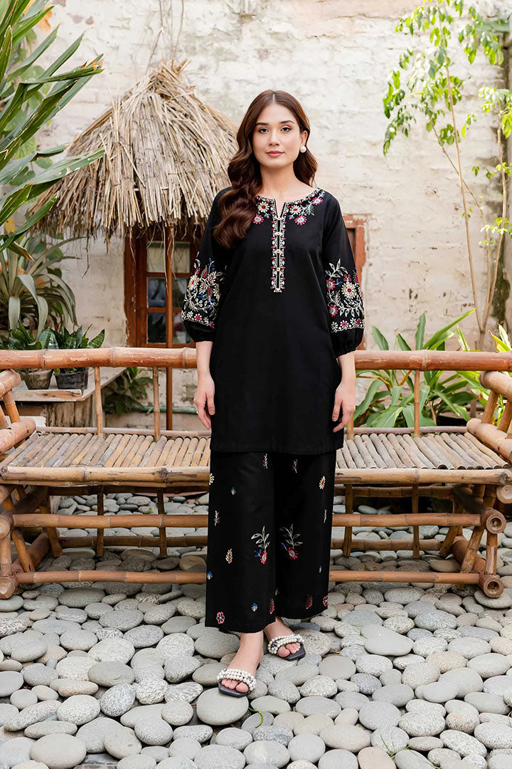 Black Beauty - 2Pc Embroidered Dress