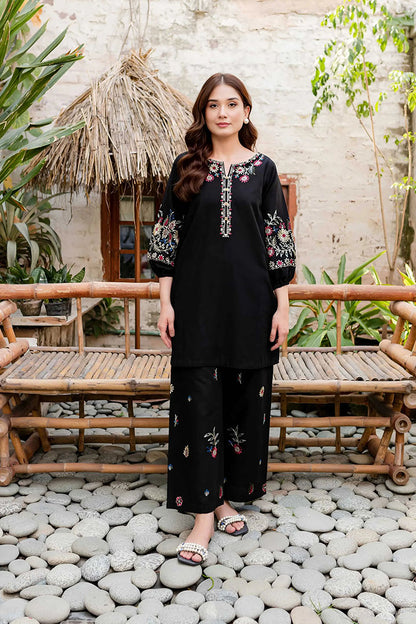 Black Beauty - 2Pc Embroidered Dress