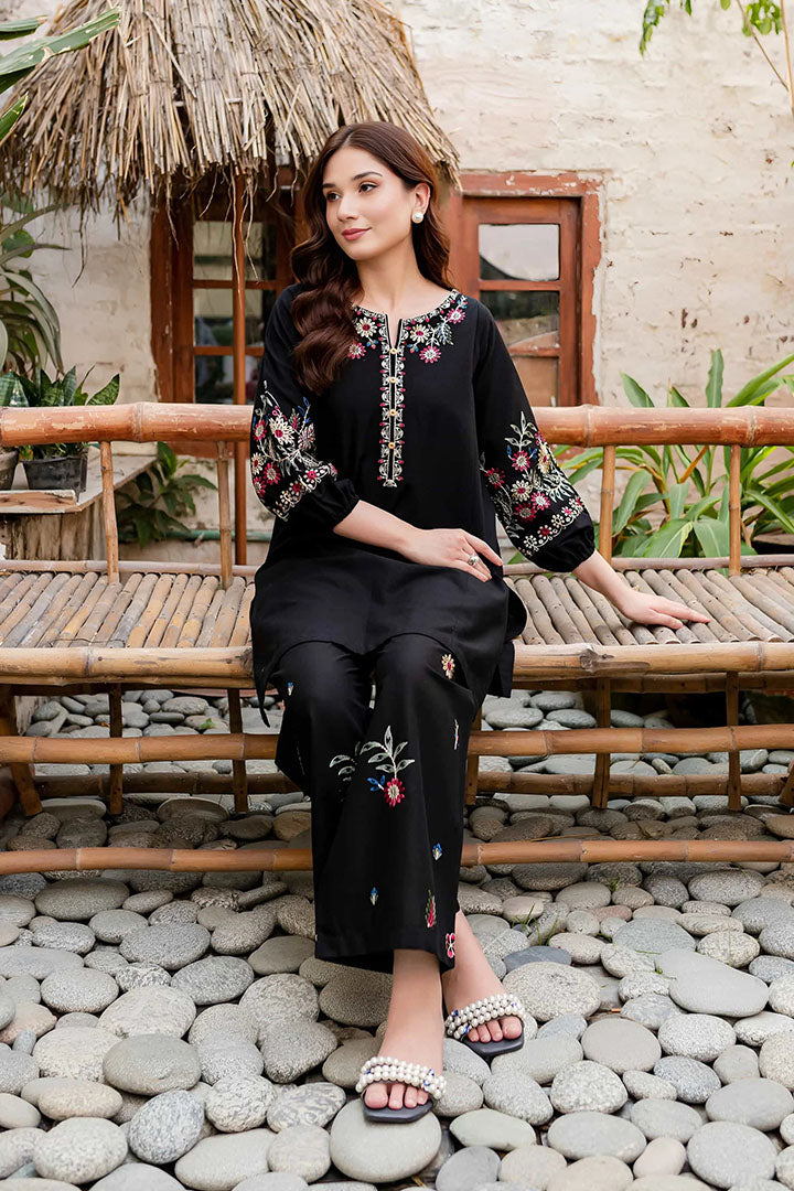 Black Beauty - 2Pc Embroidered Dress