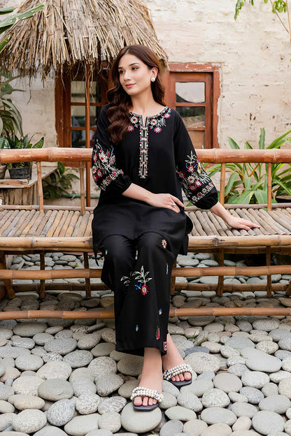 Black Beauty - 2Pc Embroidered Dress