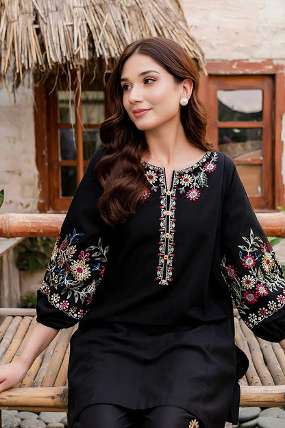 Black Beauty - 2Pc Embroidered Dress