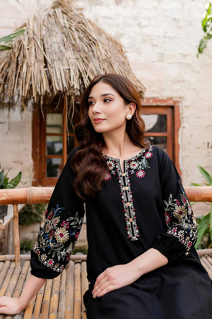 Black Beauty - 2Pc Embroidered Dress