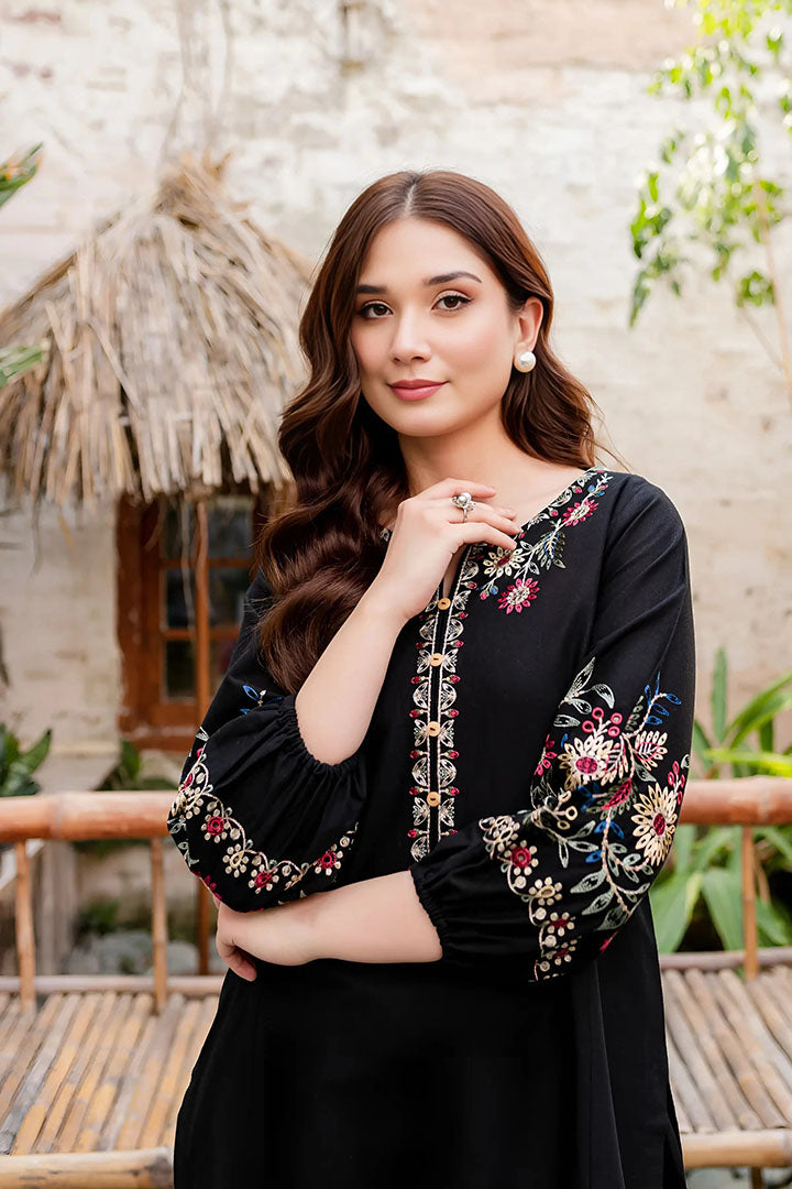 Black Beauty - 2Pc Embroidered Dress