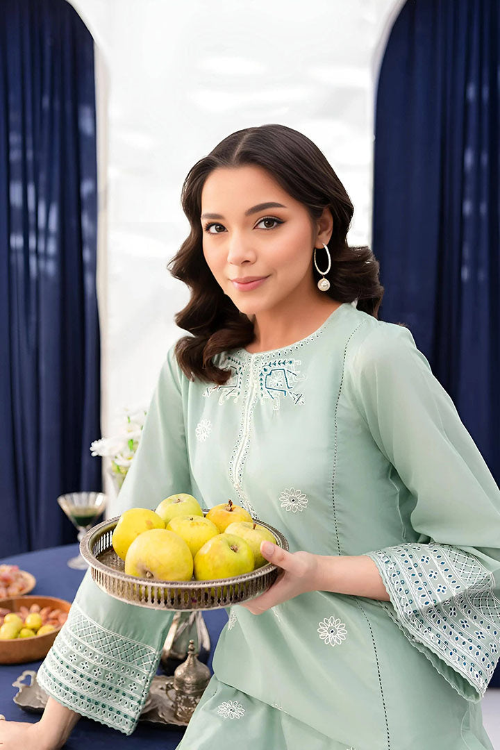 Opaline - 2Pc Embroidered Dress